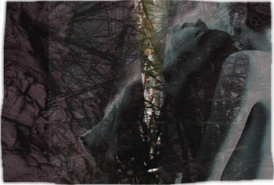 FM Geyer Nude Drawings FM Geyer, Nude Drawings, Art Nude Drawings, Free Gallery