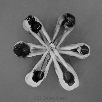 Georg Gasz Nude Photography Georg Gasz, Nude Photography, Naked Group Photos, Free Gallery