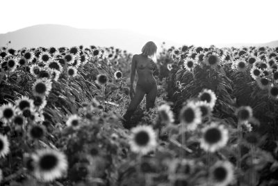 Gergo Simak Nude Photography Gergo Simak, Nude Photography, Classic Nudes Gallery, Outdoor Photographs, Free Gallery