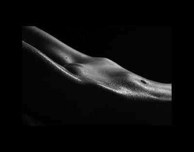 Tommy Edwards Nudes Photography Tommy Edwards, Photographer, Nudes Photography, Classic Nude Pictures, Free Gallery